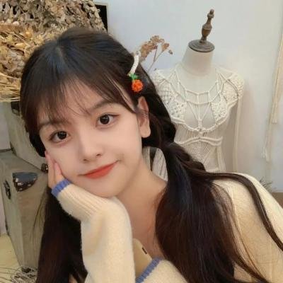 古惑仔情义篇之洪兴十三妹