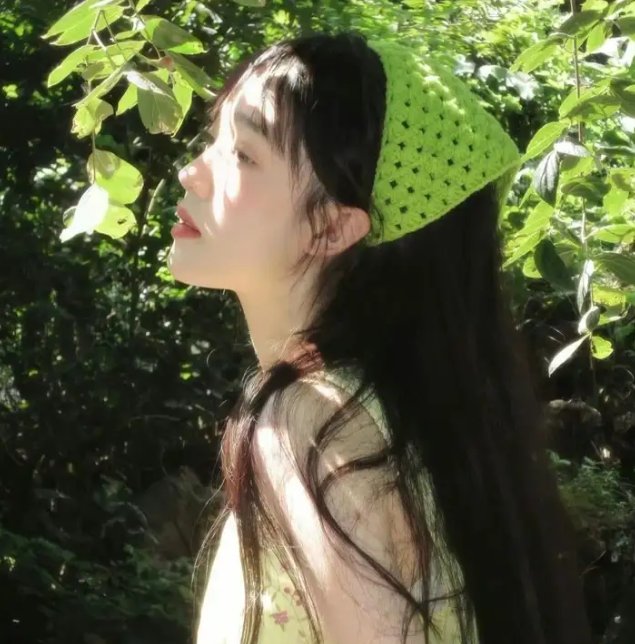 驭影师